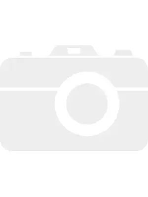 Президент Казахстана принял участие в церемонии поднятия Государственного флага 