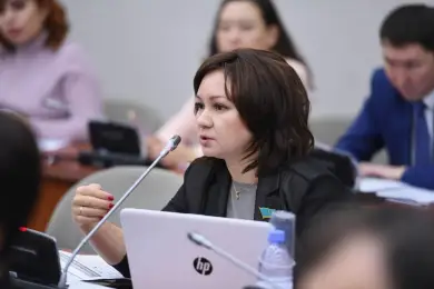 «Прогревать машину можно хоть 55 минут» – депутат Имашева